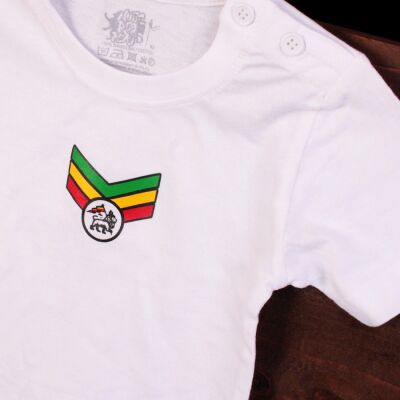 Kids Rasta tshirt | Lion of Judah