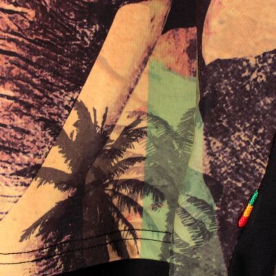 Lion of Zion Rasta t-shirt