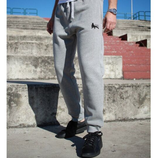 Dub Lion joggers pants | gray 