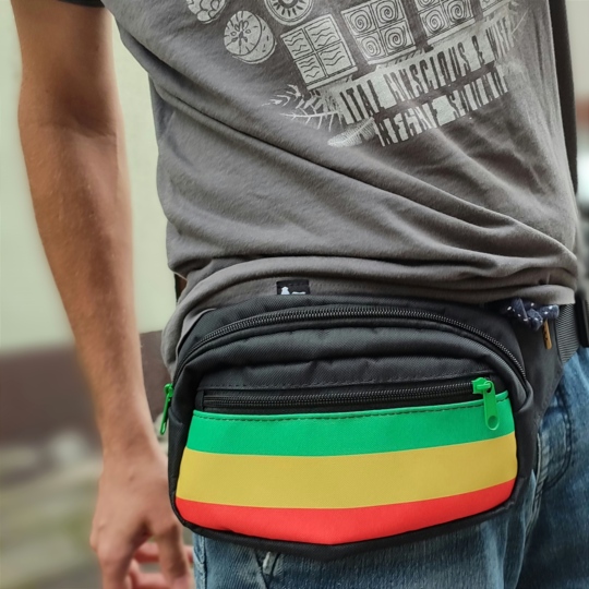 Dub Lion bum bag - Rasta