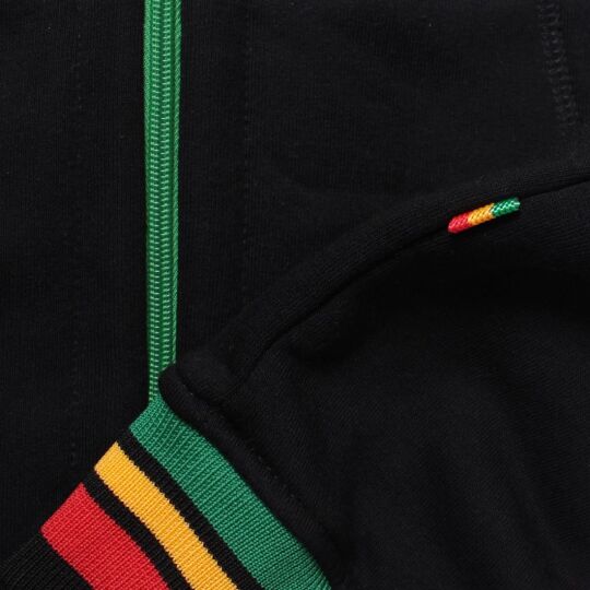 Dub Lion Zip Hoodie | Rasta Reggae