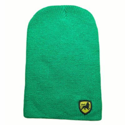 Zielona czapka zimowa beanie Lion of Judah