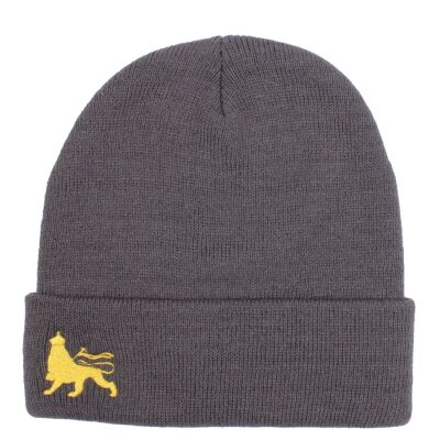 Fisherman winter hat  Docker cap Lion of Judah  | gray