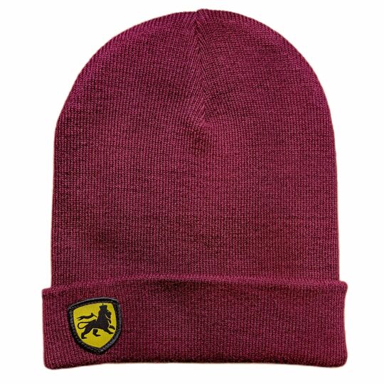 Czapka beanie zimowa z etykietą Lion of Judah | bordo