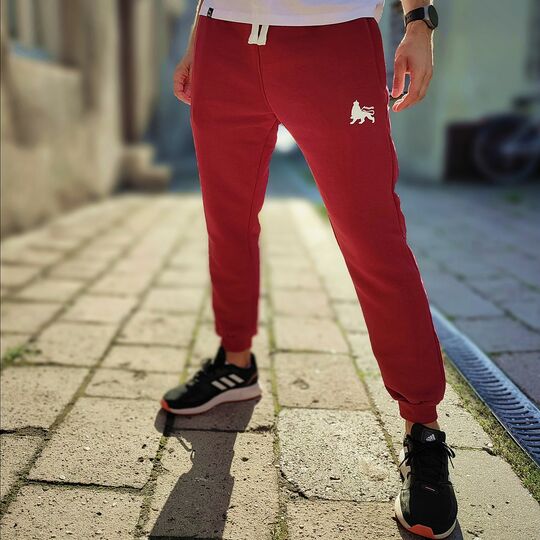 Dresy jogger Dub Lion | bordo