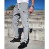 Dub Lion joggers pants | gray 