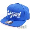 Czapka Starter Snapbacks Sedgwick & Cedar Script