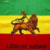Chusta bandana - Lion of Judah