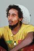 Plakat Bob Marley Painting - LP1480