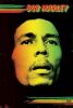 Plakat Bob Marley - Face - PP31314