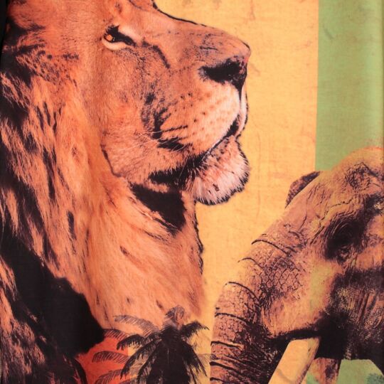 Lion of Zion Rasta t-shirt